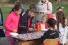 IMG_7162-1024x682